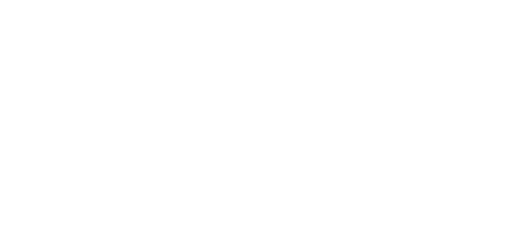 White parole project logo